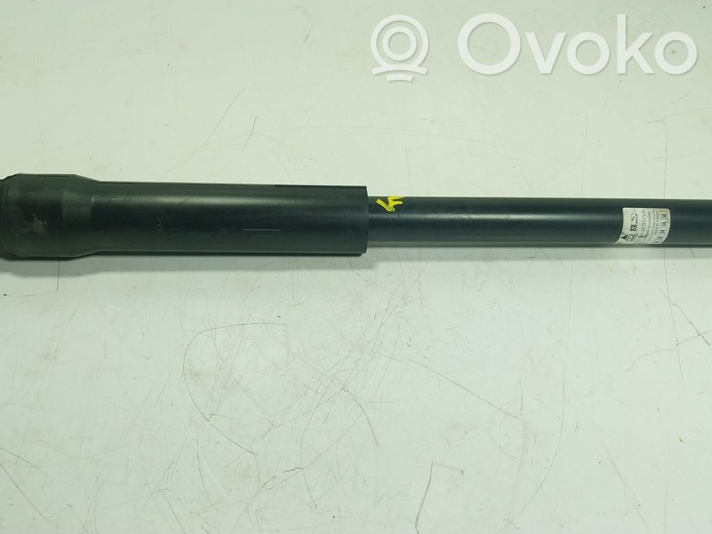 Toyota Yaris Amortizor spate 