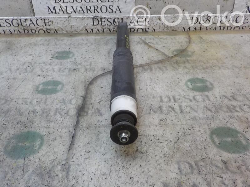 Amortizor spate