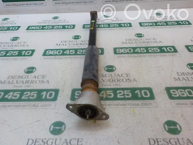 Ford Fiesta Amortizor spate 