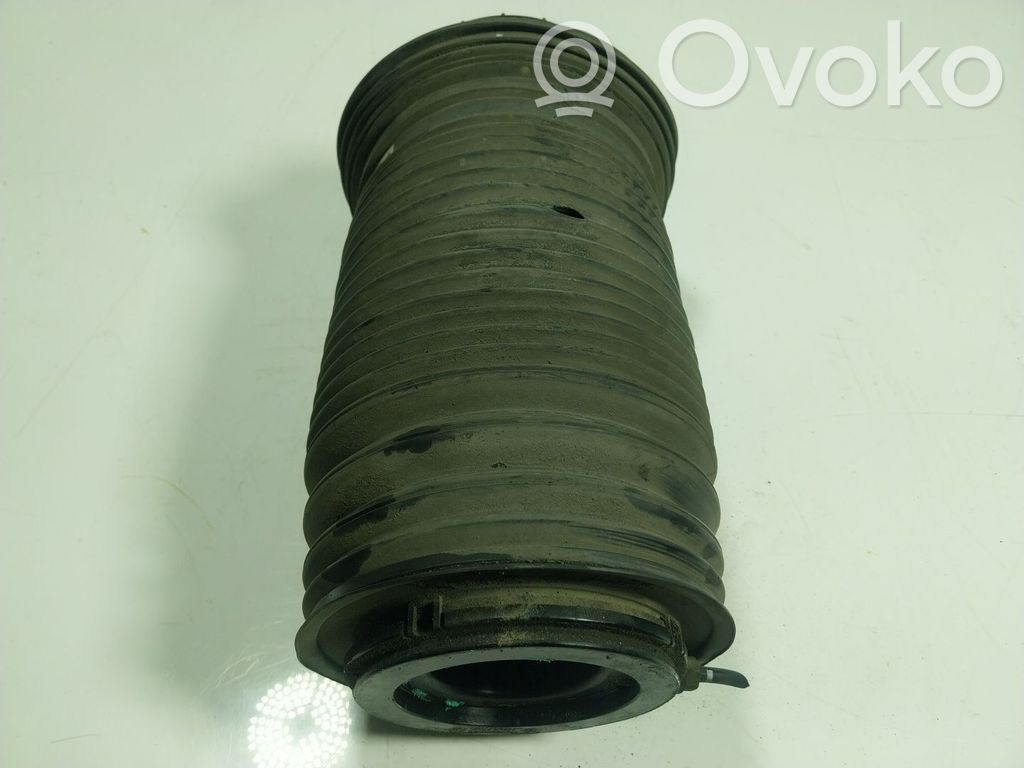 Feder vorne   06701007150