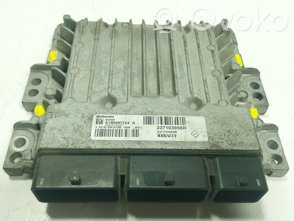 Motorsteuergerät/-modul   237103956R