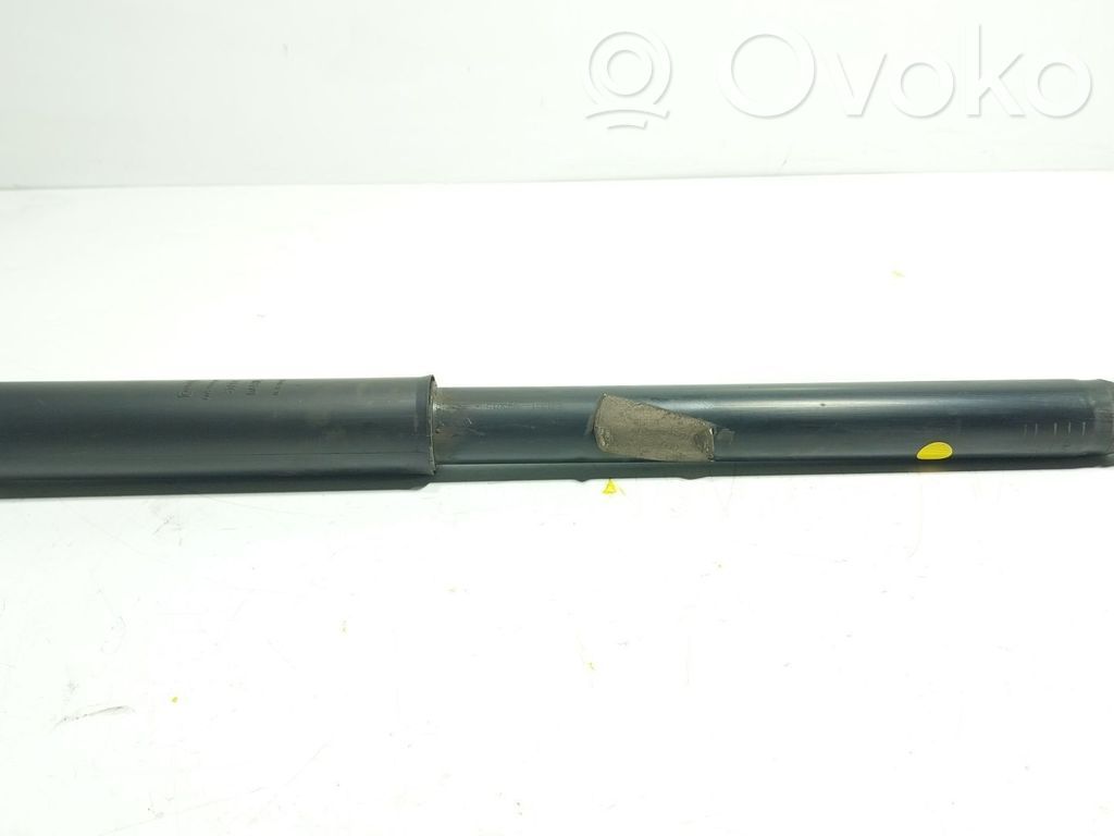 Galinis amortizatorius   1898205,8V6118159AB