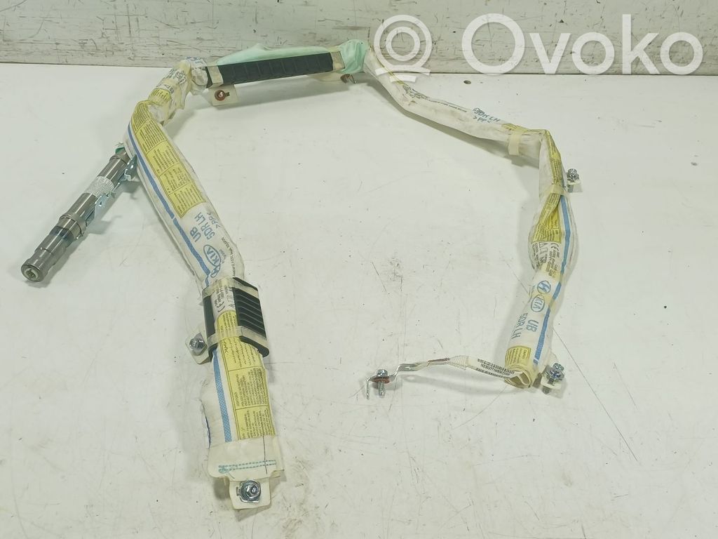 Airbag de la puerta delantera   850101W000,1W85010000