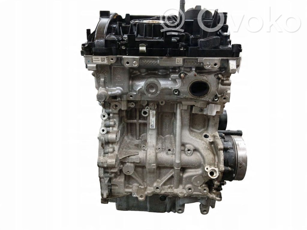 Variklis   B38A15F,B38A15F,474610,B38A15F