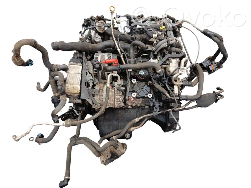 Motor   204DTD