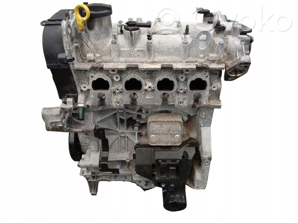 Volkswagen PASSAT Motore 