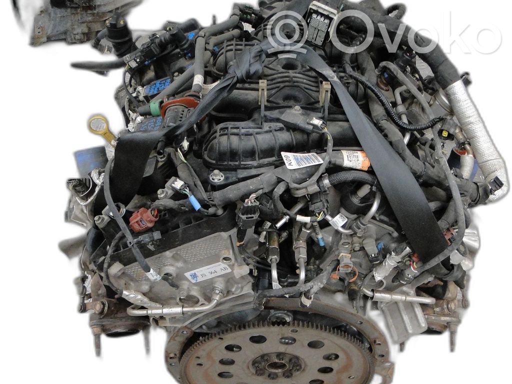 Motor