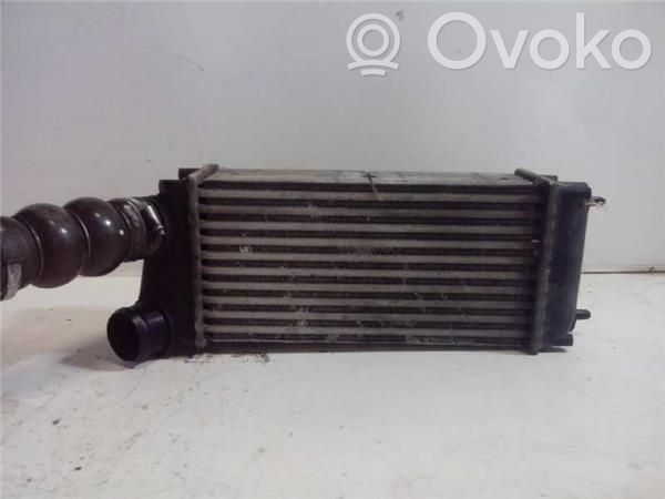 Intercooler radiator   384H5