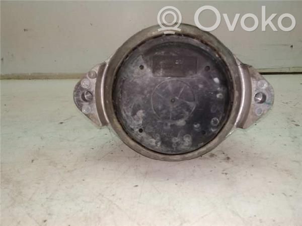 Engine mount bracket   676880003