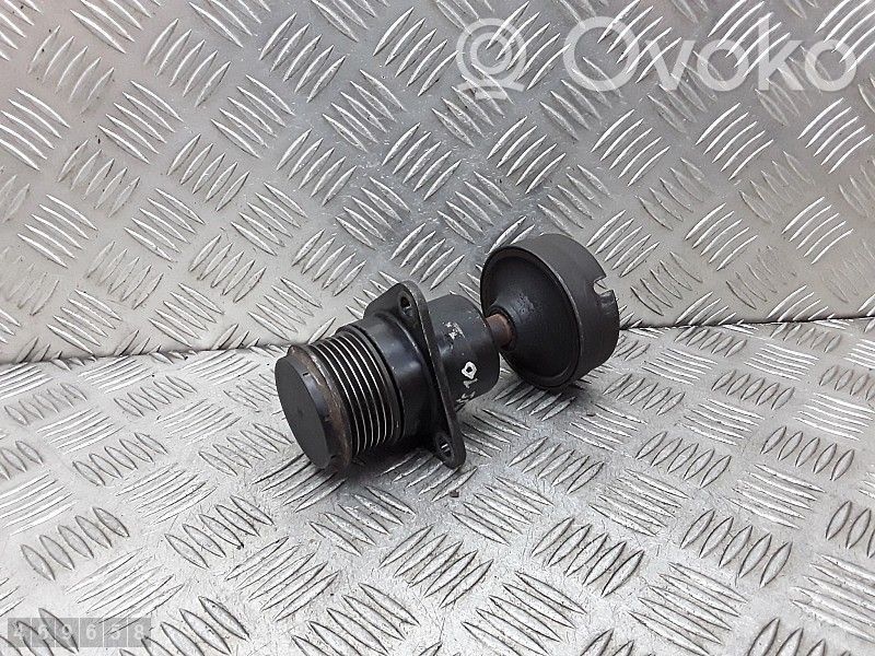 Ford Focus Alternator pulley 