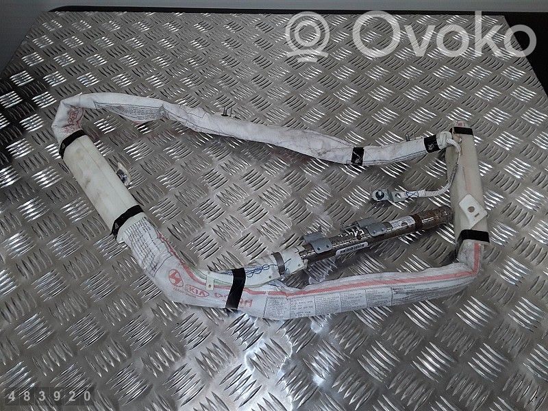 Airbag del techo   85020A6000