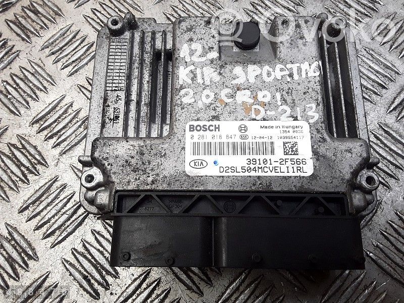 Engine control unit/module   391012F566,0281018847