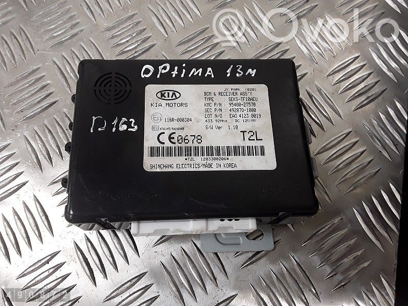 Sterownik / Moduł ECU   954002T570,49287Q1000,SEKSTF10AEU
