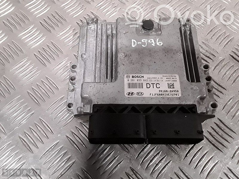 Centralina/modulo del motore   391602A950,0281033842