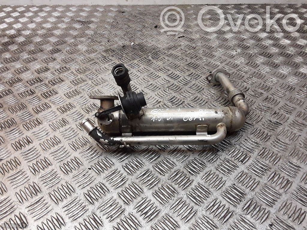 Volkswagen Golf Plus Valvola di raffreddamento EGR