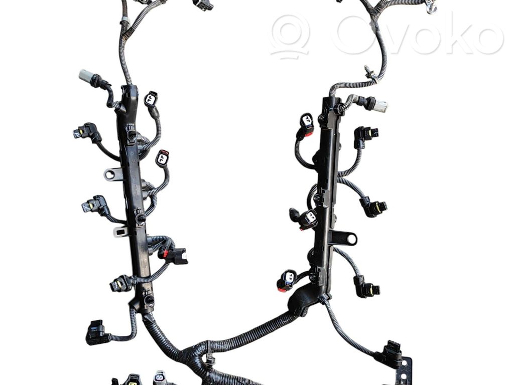 Dodge Durango Fuel injector wires 