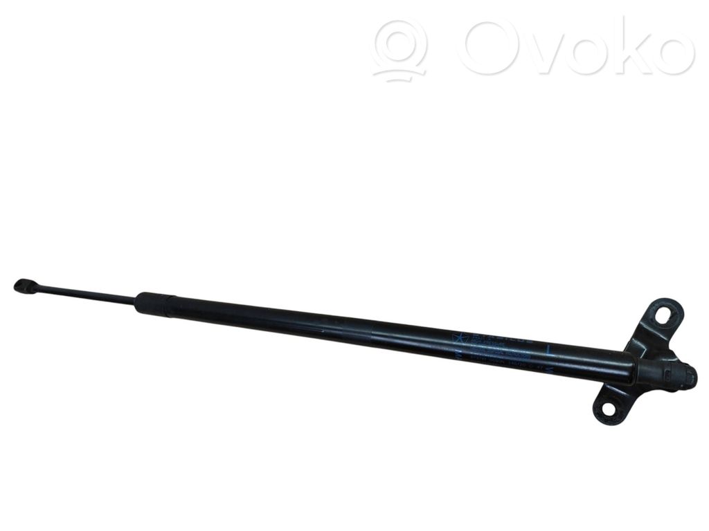 Dodge Durango III Tailgate/trunk strut/damper 