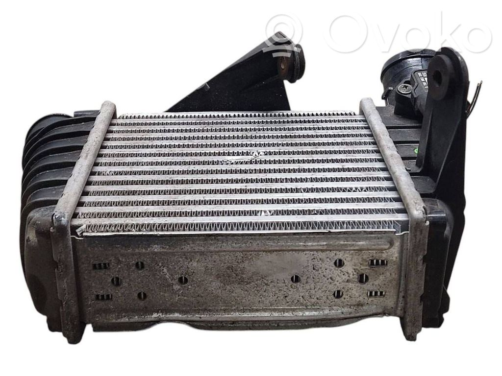 Volkswagen Polo IV 9N3 Radiatore intercooler 