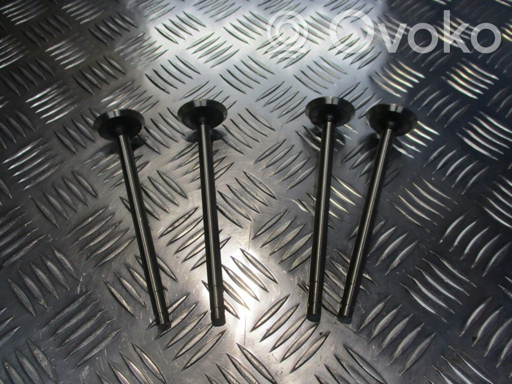 Valvola