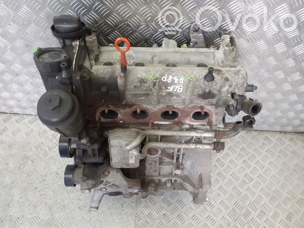 Motor   BLF