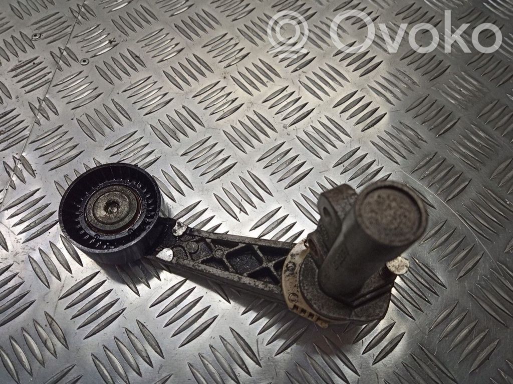 Peugeot 308 Rolă întinzător curea alternator 
