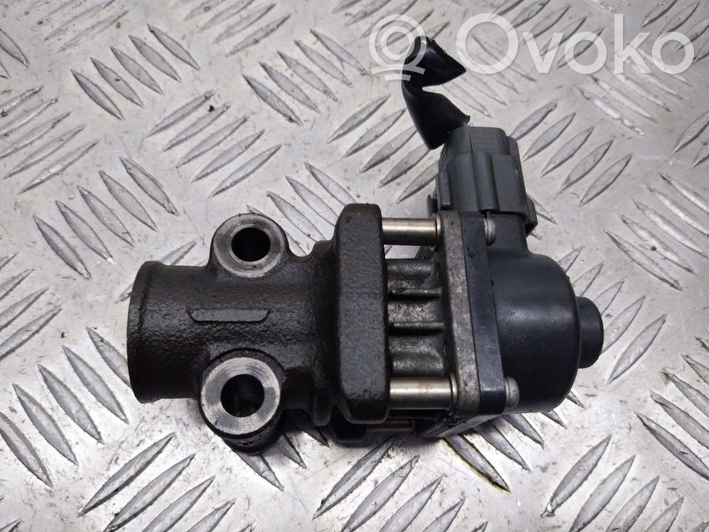 Válvula EGR   79077