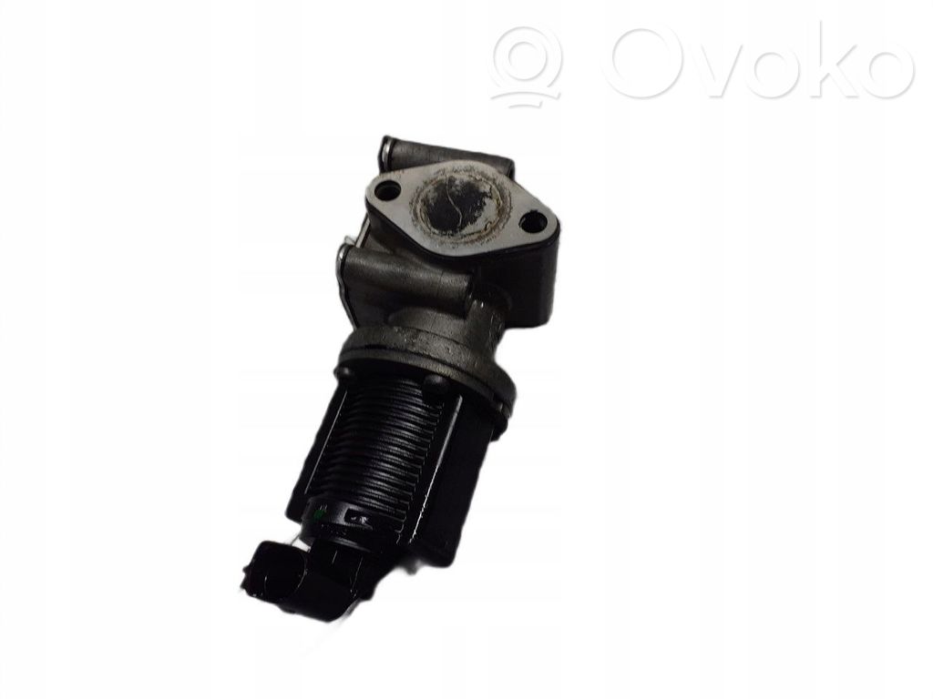 Supapă EGR   50024005