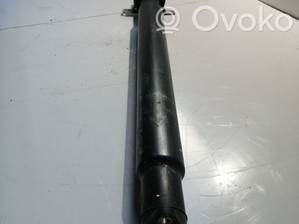 Drive shaft (set)   7557441