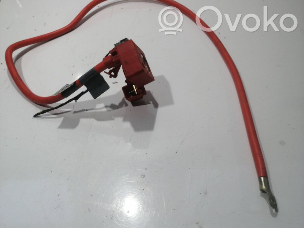 Cable positivo (batería)   6113698227602,698227602