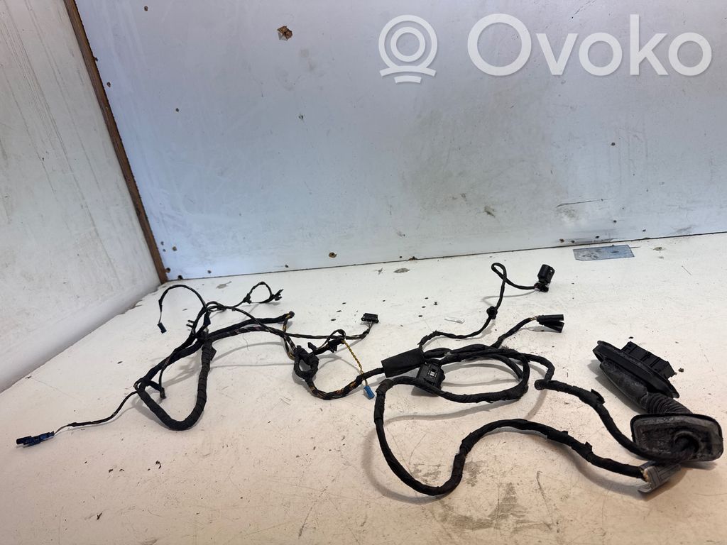 BMW 5 F10 F11 Rear door wiring loom 