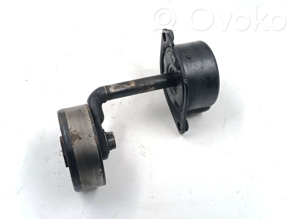 BMW 5 E39 Tensor de correa del alternador 