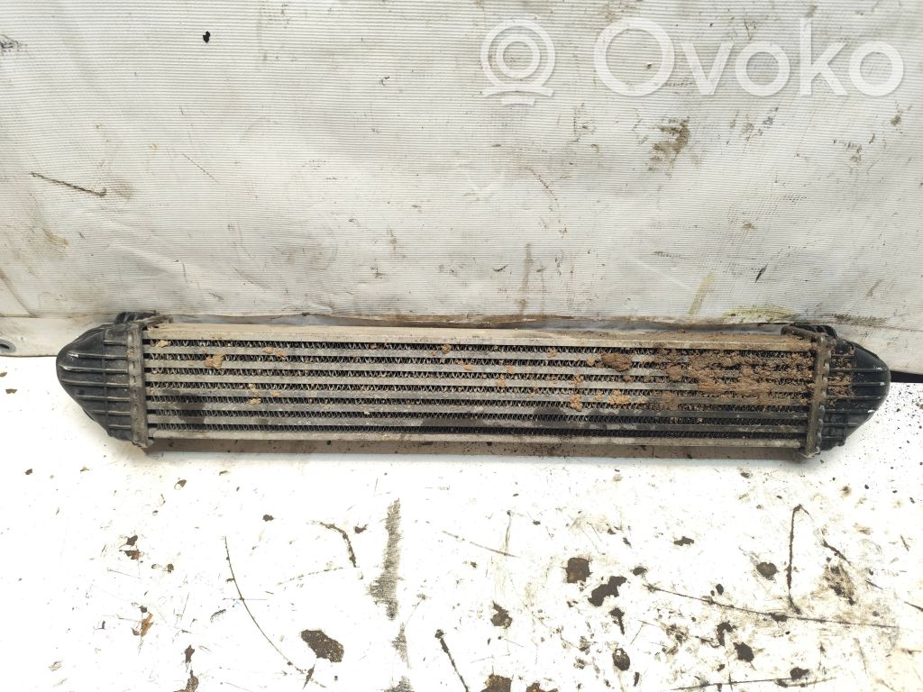 Mercedes-Benz A W169 Radiator intercooler 