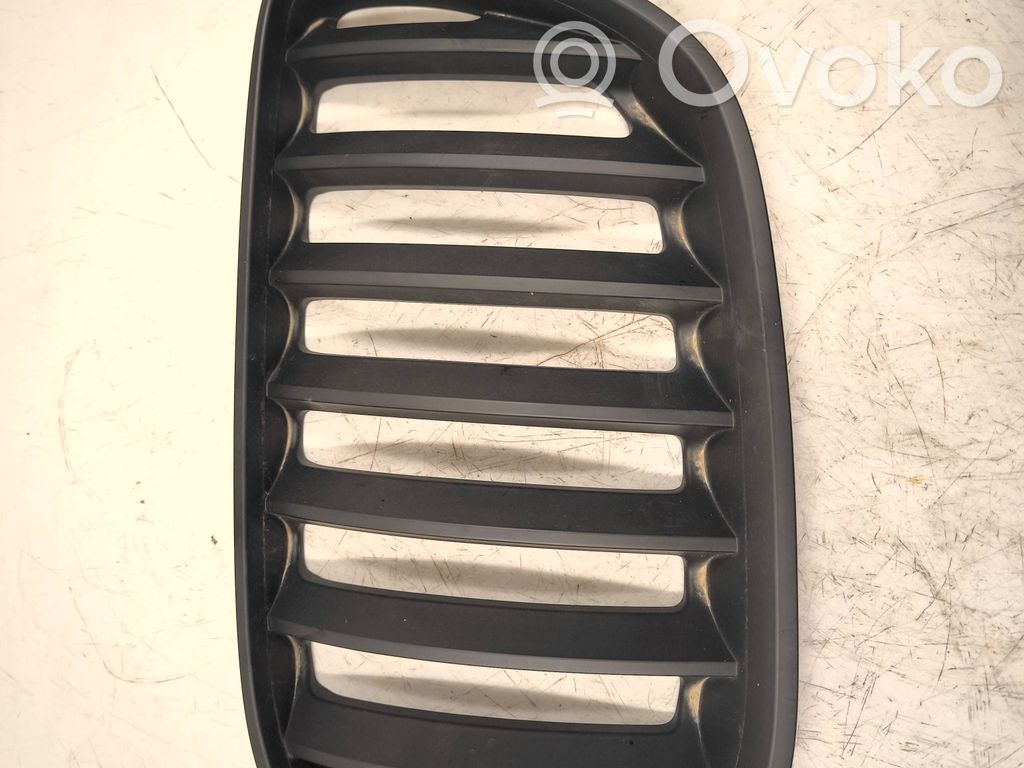 BMW X5 E53 Front grill 