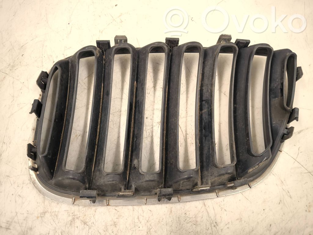 BMW X5 E53 Front grill 