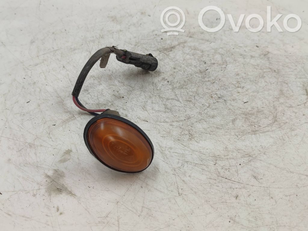 Front fender indicator light