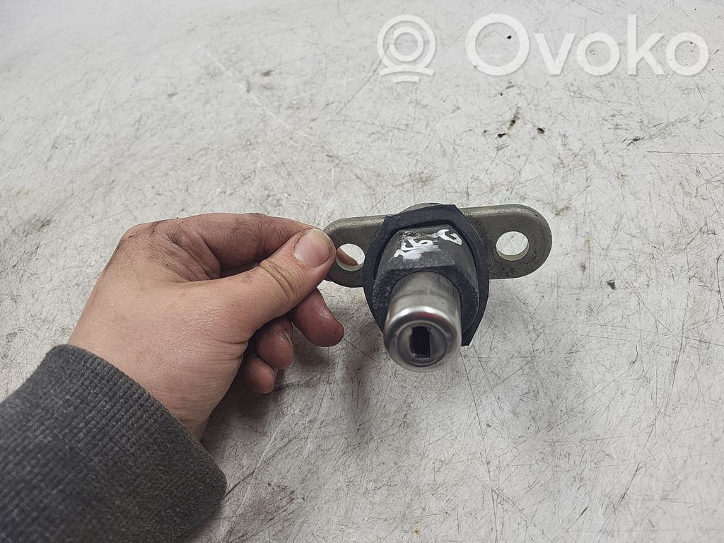 Tailgate exterior lock   1960245
