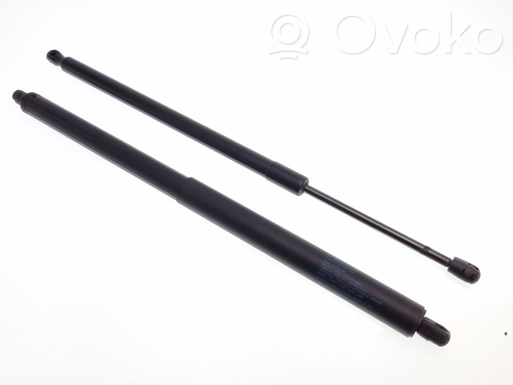 Ford Edge II Tailgate/trunk strut/damper 
