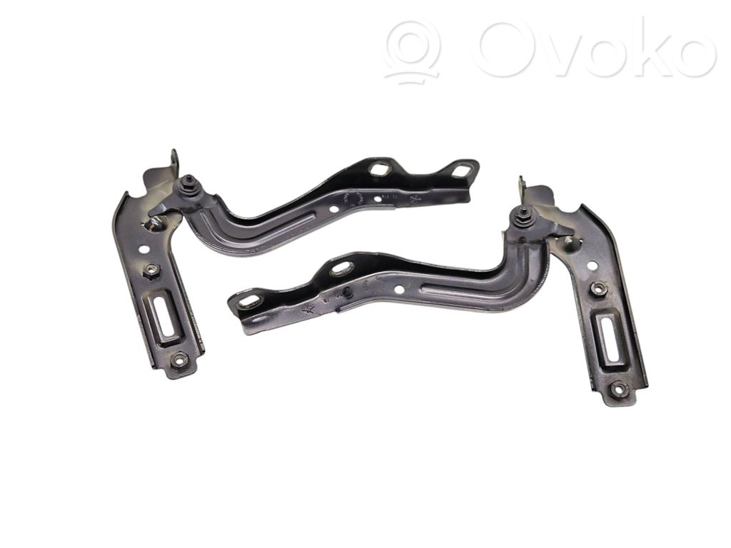 Chrysler Pacifica Engine bonnet/hood hinges 