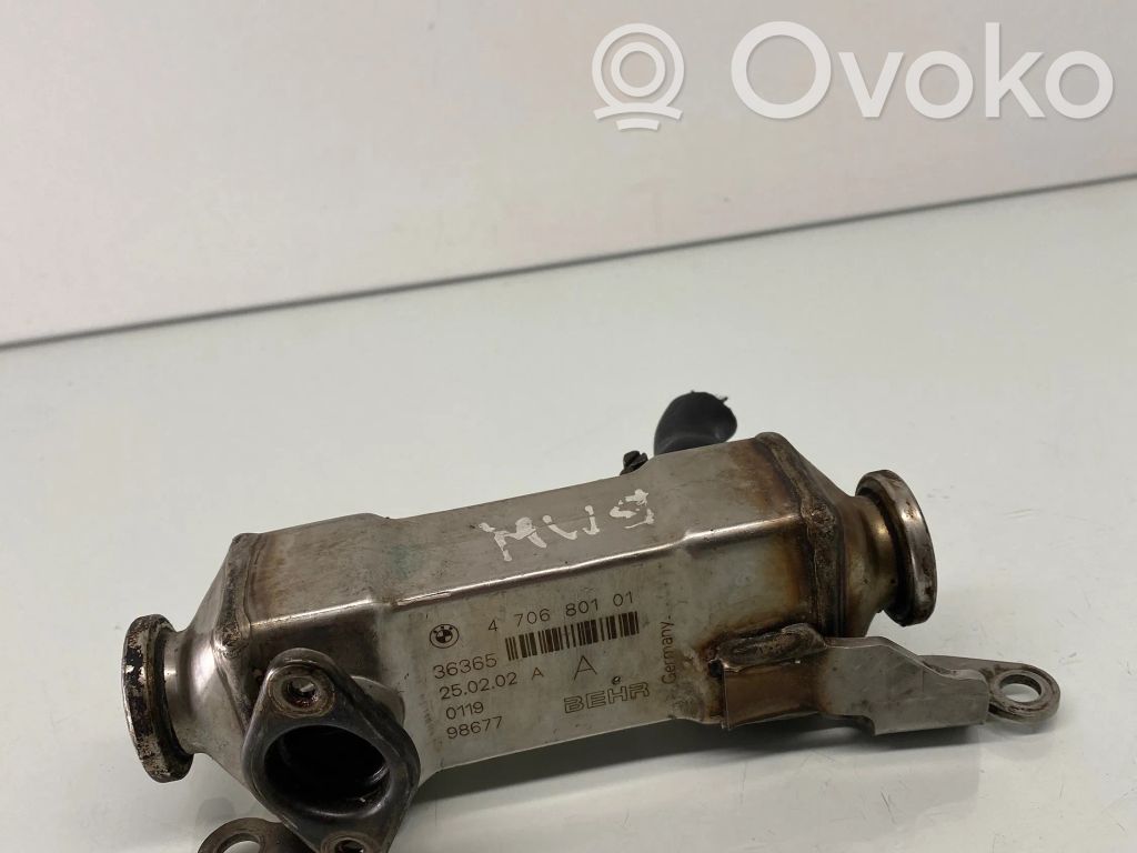 BMW 3 E46 EGR valve cooler 