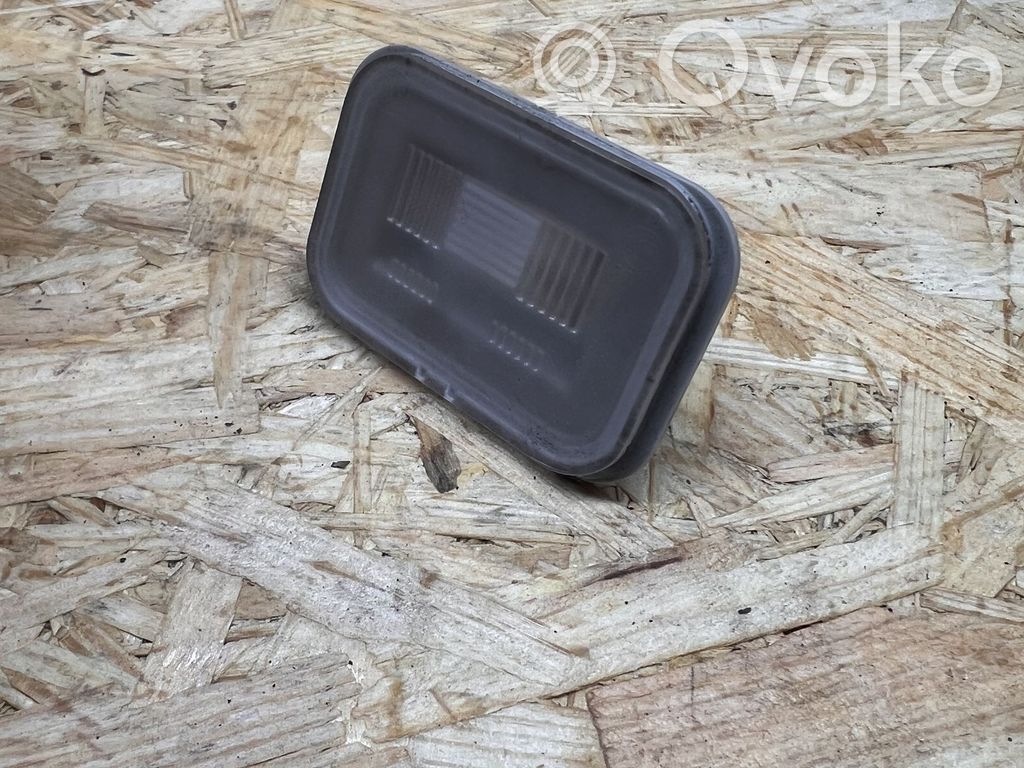 KIA EV6 Kennzeichenbeleuchtung 