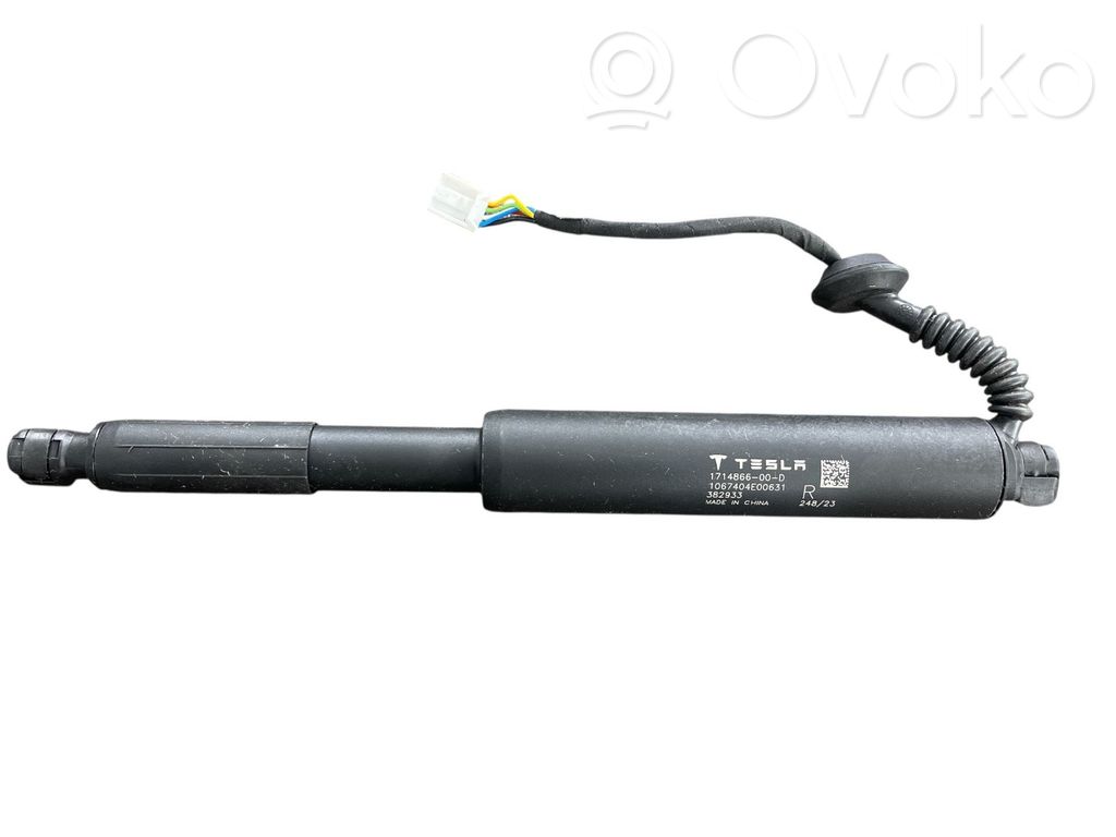 Tesla Model 3 Tailgate/trunk strut/damper 