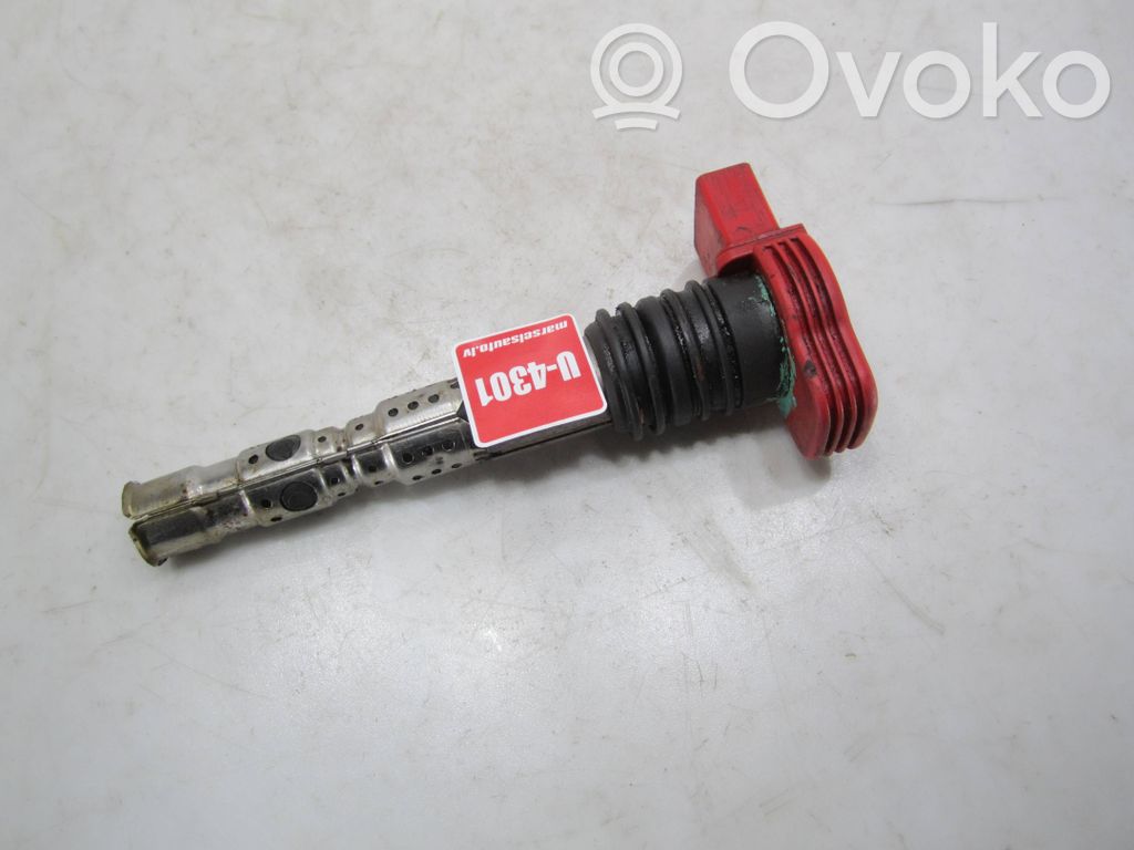 Audi A4 S4 B6 8E 8H Augstsprieguma spole (aizdedzei) 