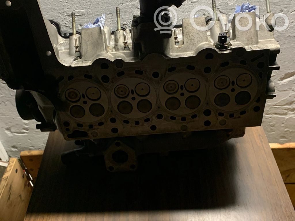 Culata del motor   77812110,117036106