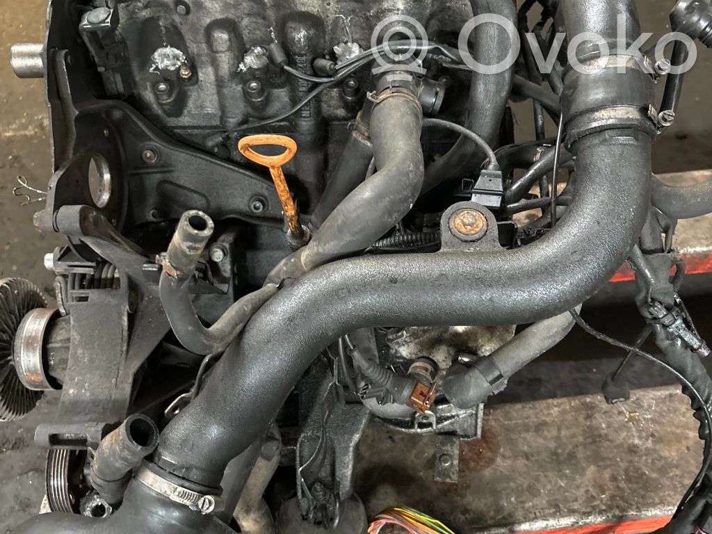 Motor   AFN