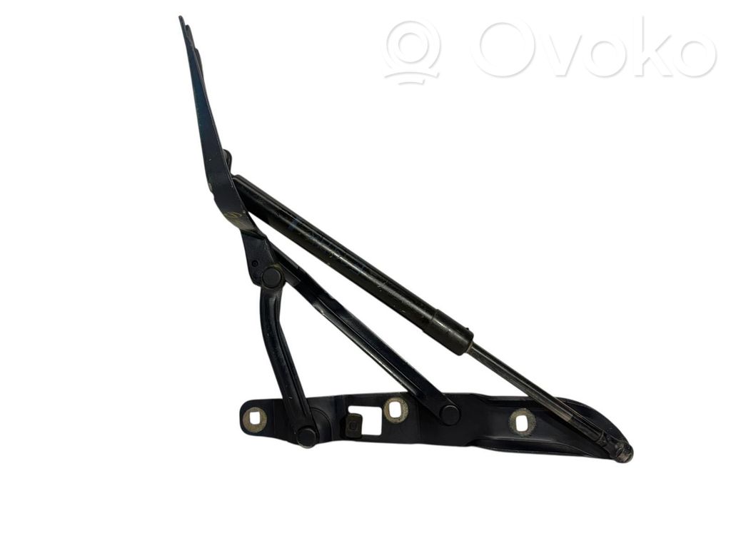 Tailgate/trunk/boot hinge   41518159398