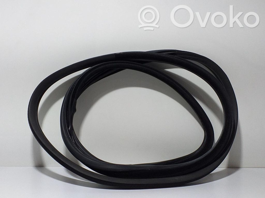 BMW X5 E70 Rubber seal rear door 
