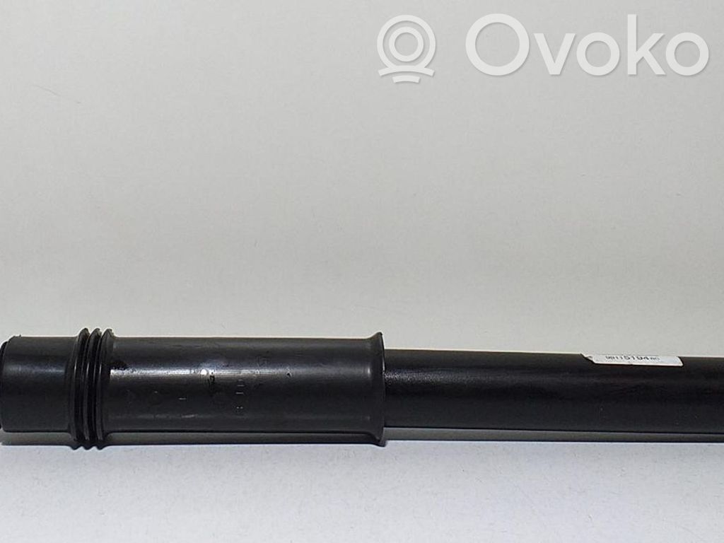 Citroen C4 Aircross Rear shock absorber/damper 