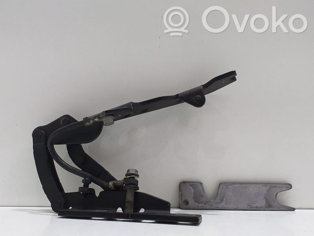 Engine bonnet/hood   7064160,54325