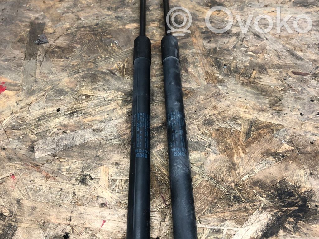 Audi A4 S4 B8 8K Tailgate/trunk strut/damper 