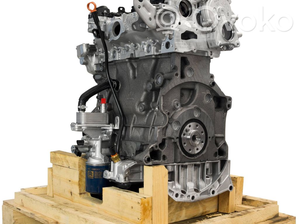 Motor   AH03,DW10FUC,DW10FUD,1613251380